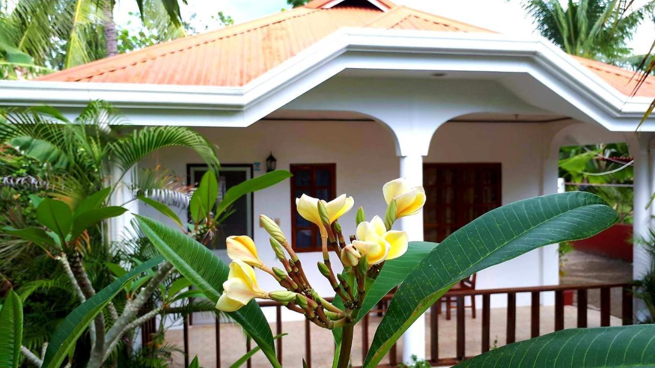 Palmera Palma Private 1-Br Bungalow In Моалбоал Экстерьер фото